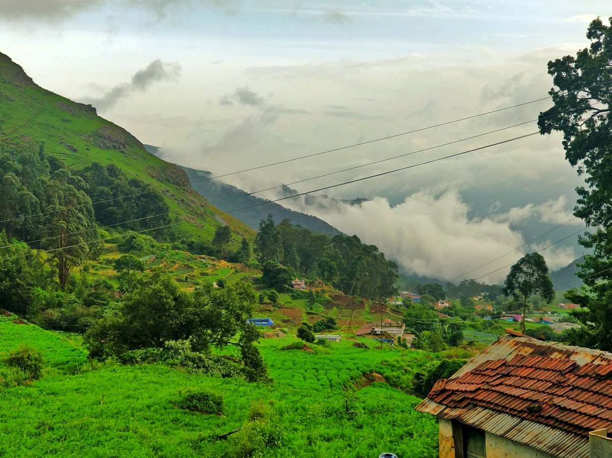 Hill top halts, Munnar