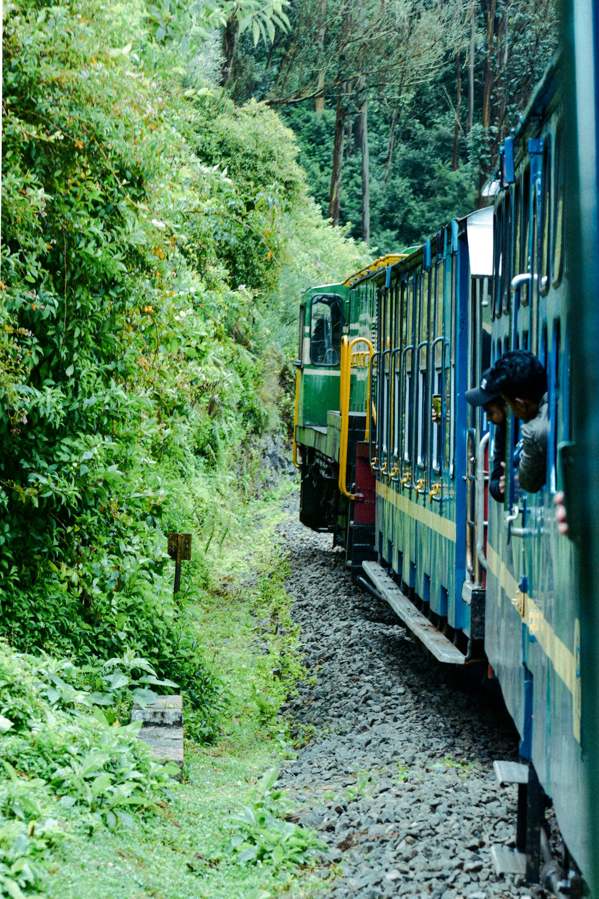 Misty mornings, Ooty