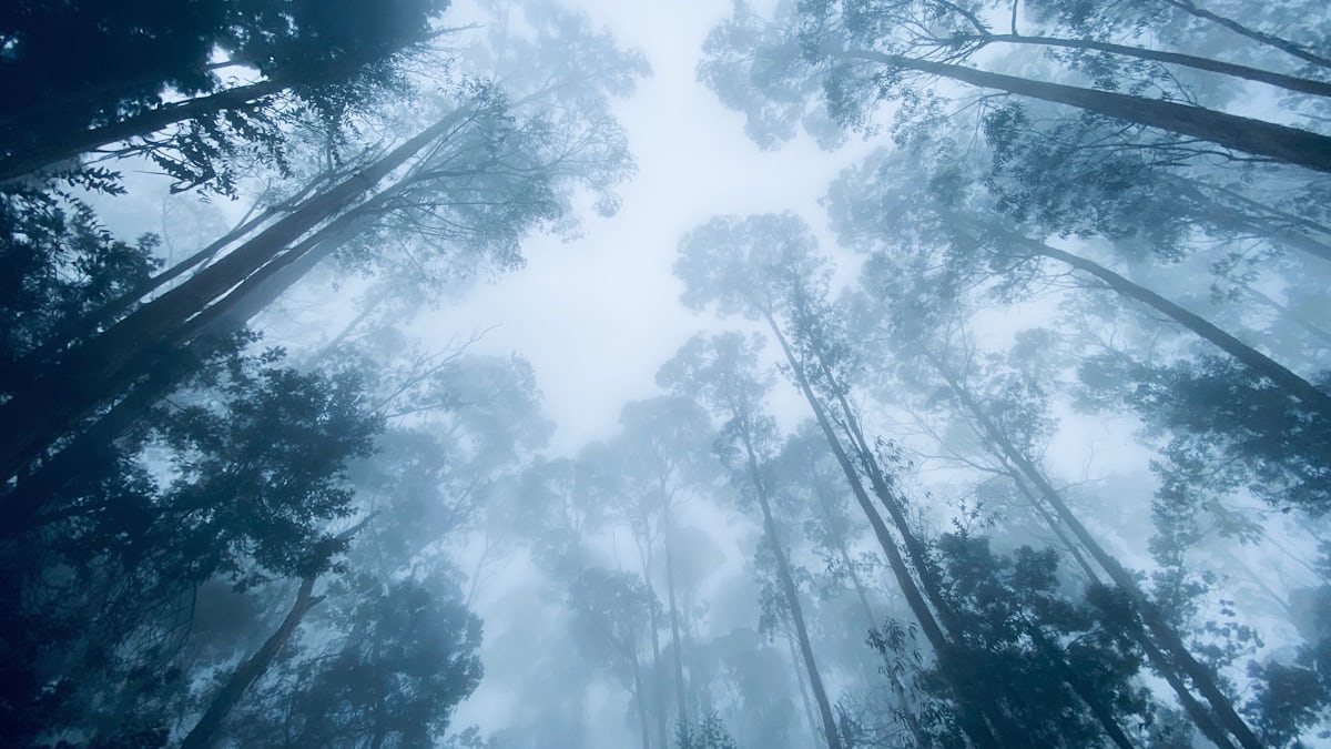 Kodaikanal